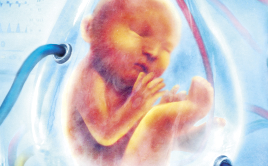 Fictions: All I Asked For