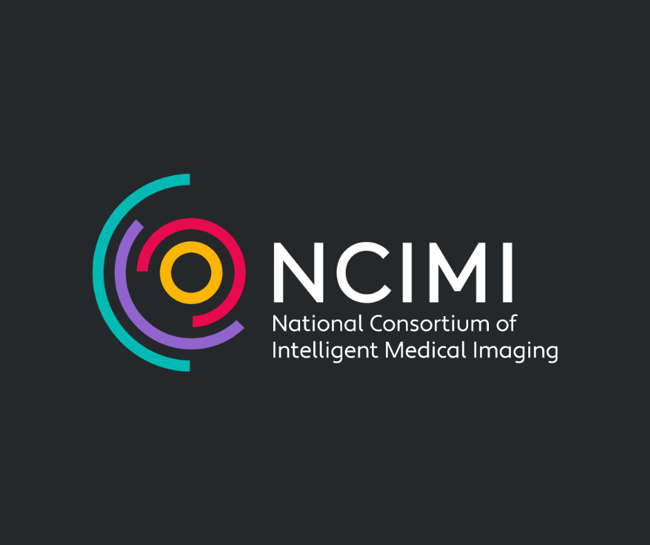 Developing a Value Framework for Medical Imaging Data