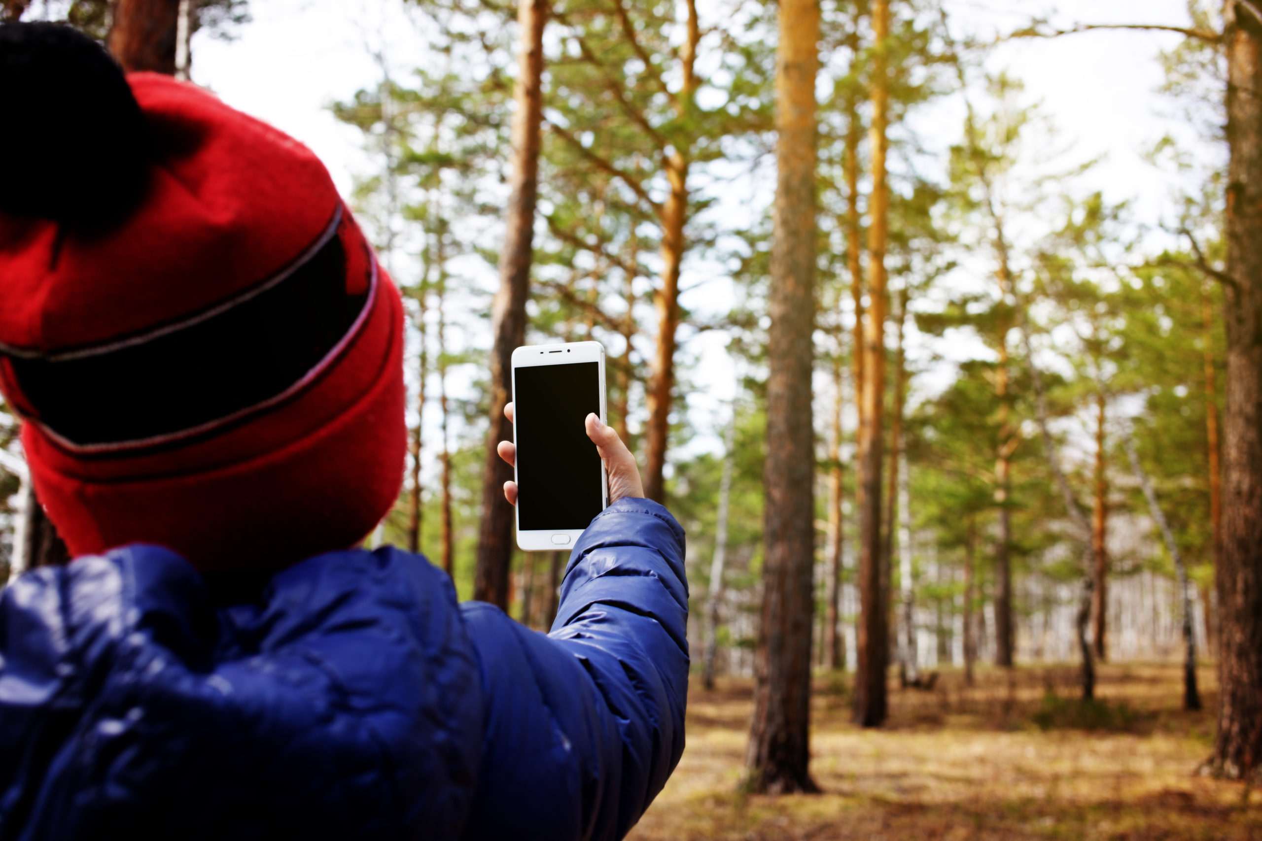 Cash announced to fund new digital projects with sustainability at heart