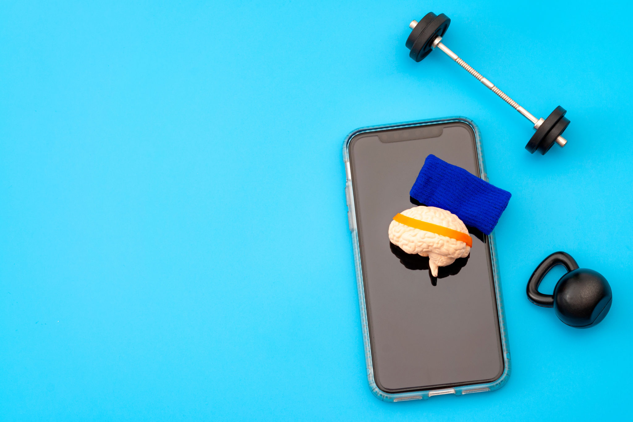 User Insights into Digital Mental Health Tools Future Care Capital